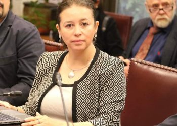 Senadora Ximena Órdenes presentó proyecto de ley para que pueblo Huilliche sea reconocido como etnia indígena de Chile