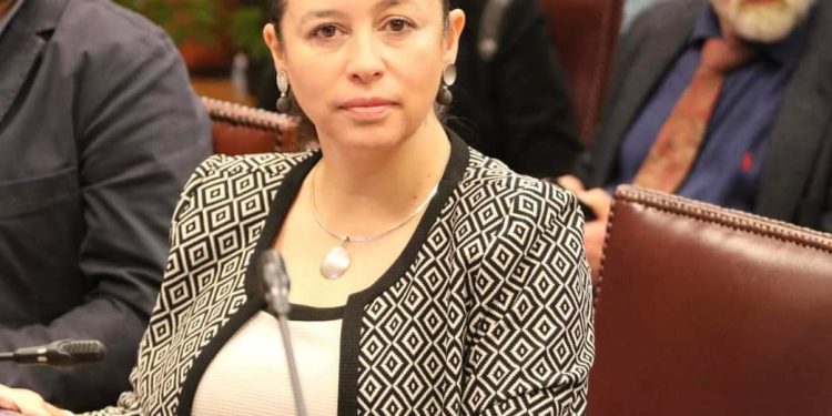 Senadora Ximena Órdenes presentó proyecto de ley para que pueblo Huilliche sea reconocido como etnia indígena de Chile