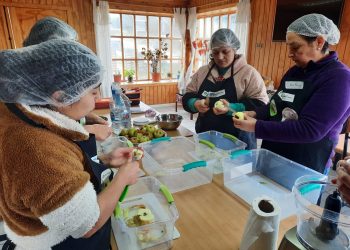 INFOR realiza exitoso Taller de Vinagres en base a frutos silvestres en toda la región 