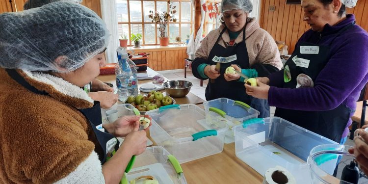 INFOR realiza exitoso Taller de Vinagres en base a frutos silvestres en toda la región 