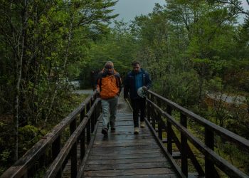 Parque Nacional Queulat: Inician obras que buscan fortalecer ícono de la conservación y del turismo  