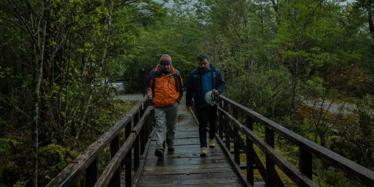 Parque Nacional Queulat: Inician obras que buscan fortalecer ícono de la conservación y del turismo