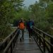 Parque Nacional Queulat: Inician obras que buscan fortalecer ícono de la conservación y del turismo  