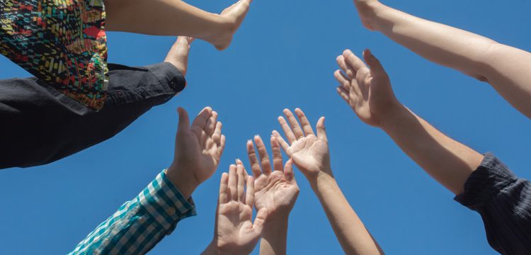 Seremi (s) del Medio Ambiente de la región convoca a participar de consultas ciudadanas