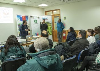 Seremi de Agricultura y Fundación para la Innovación Agraria promueven potencial productivo y de comercialización de hongos comestibles de Aysén