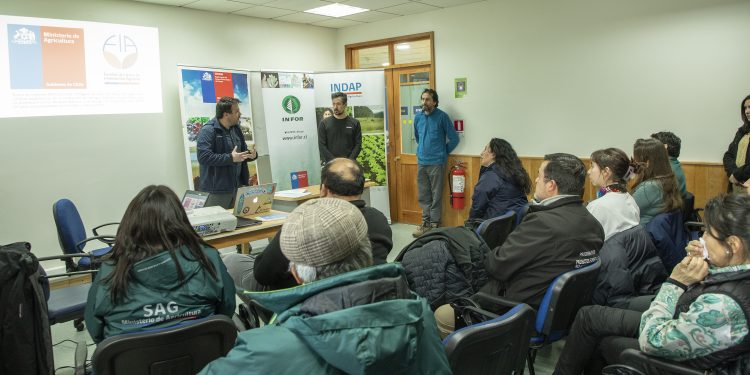 Seremi de Agricultura y Fundación para la Innovación Agraria promueven potencial productivo y de comercialización de hongos comestibles de Aysén