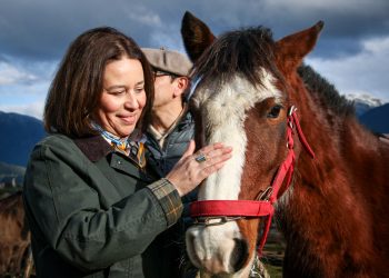 Senadora Órdenes entregará su apoyo a iniciativa para consagrar el día nacional del Caballo Chileno