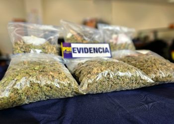 Fiscalía y PDI detienen a funcionaria pública y desbaratan tráfico de más de 6 kilos de marihuana prensada con destino a Puerto Aysén