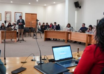 Consejo Regional aprueba la compra de buses eléctricos para traslado de estudiantes universitarios y adultos mayores de la comuna de Aysén