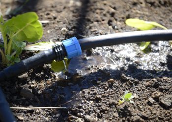 Nueva Ley de Riego focaliza esfuerzos en pequeña y mediana agricultura