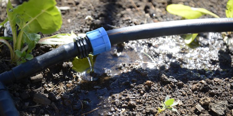 Nueva Ley de Riego focaliza esfuerzos en pequeña y mediana agricultura