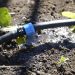 Nueva Ley de Riego focaliza esfuerzos en pequeña y mediana agricultura