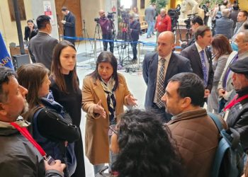 Diputada Marcia Raphael llama a aclarar futuro de IP y CFT Los Lagos por casos de corrupción