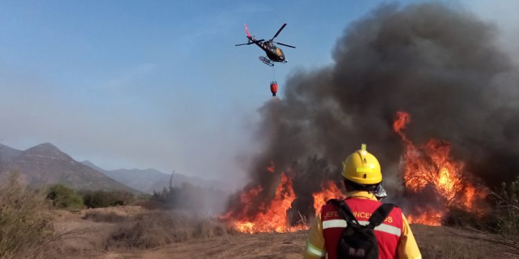Día Mundial del Helicóptero: La indispensable labor que realizan en Chile
