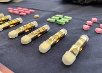 PDI Aysén incauta cannabis y droga sintética destinada a Puerto Río Tranquilo