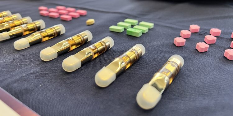 PDI Aysén incauta cannabis y droga sintética destinada a Puerto Río Tranquilo