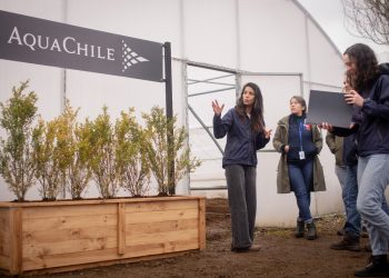 Primer invernadero sustentable comunitario entregado por AquaChile a sindicato Mujeres del Mar de Puerto Chacabuco