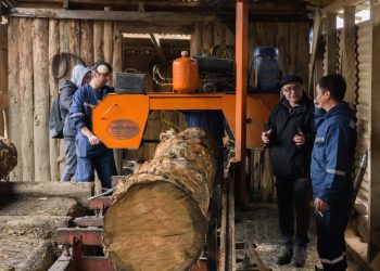 Corfo Aysén impulsa el crecimiento del sector forestal mediante capacitación técnica y promoción de la innovación