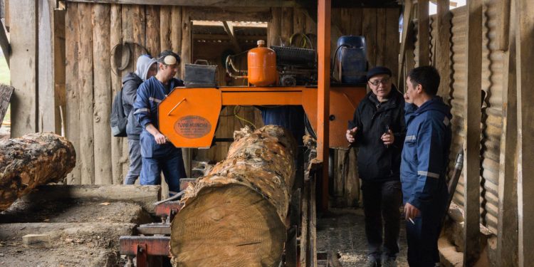 Corfo Aysén impulsa el crecimiento del sector forestal mediante capacitación técnica y promoción de la innovación