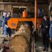 Corfo Aysén impulsa el crecimiento del sector forestal mediante capacitación técnica y promoción de la innovación