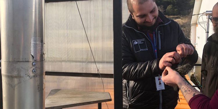 Medio Ambiente: Invitan a participar de concurso “Laboratorio Ecoclimático en regiones”