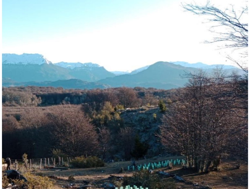Siembra por Chile en Aysén: Restaurando bosques y generando empleo