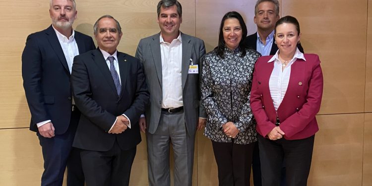 Ciberseguridad: Senadora Órdenes mostró preocupación ante la caída de portales públicos por amenazas de hackeo