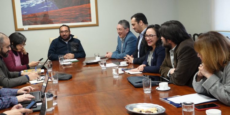 Gobernadora Regional aboga por la Universidad de Aysén frente al Ministerio de Educación por crisis financiera que enfrenta