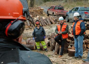 Resaltan el impacto del programa de manejo y restauración de bosques en la Reserva Nacional Coyhaique