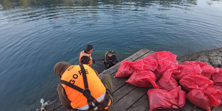 GOPE rescató cuerpo desde camión que cayó al Lago General Carrera
