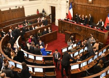 [Columna de Opinión] ¿Cuál es la diferencia entre ser humano y persona?