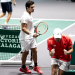 Chile se despide de la Copa Davis con una derrota ante Canadá.