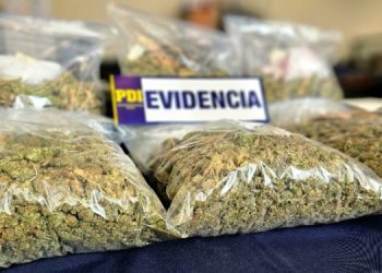 Corte de Coyhaique confirma prisión preventiva de imputada por tráfico de droga.