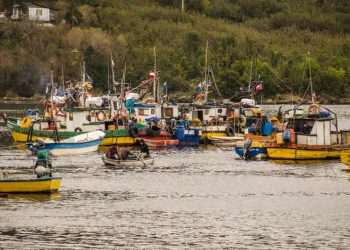 Corte de Coyhaique rechaza recurso de protección por extensión de área de operaciones de pescadores artesanales