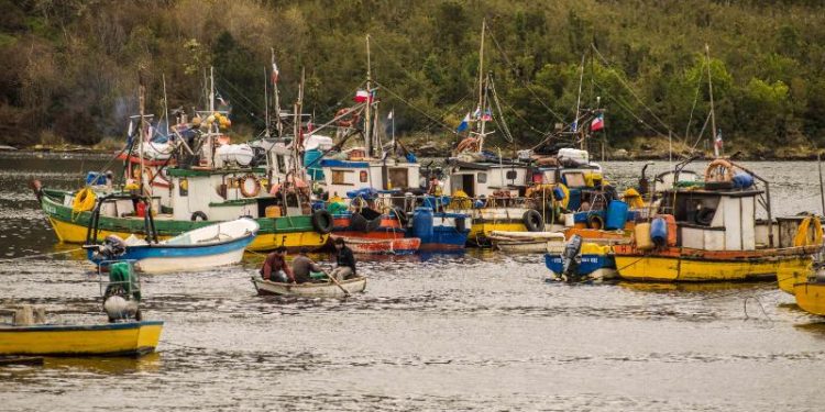 Corte de Coyhaique rechaza recurso de protección por extensión de área de operaciones de pescadores artesanales
