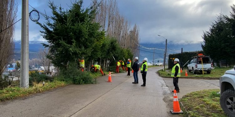 SEC Aysén fiscaliza trabajos de podas y despeje de líneas eléctricas para evitar cortes de energía en temporada estival.