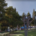 Corte de Coyhaique rechaza recurso de protección contra el municipio por tala y poda de árboles en la ciudad.