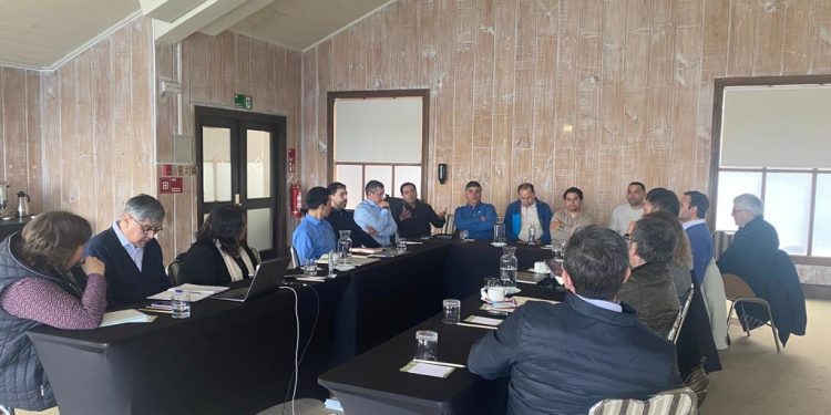 Agrupaysén y Consejo del Salmón se reúnen para abordar el futuro laboral y sostenible de la industria acuícola