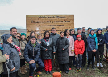 Árboles de la Memoria: Se realizó plantación de ñires en paso fronterizo de Coyhaique Alto en recuerdo de detenidos desaparecidos durante la Dictadura