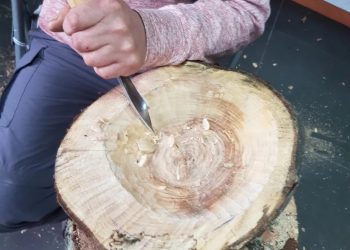 Programa de INFOR apoya a productores de Villa O´Higgins con taller de artesanía en madera nativa