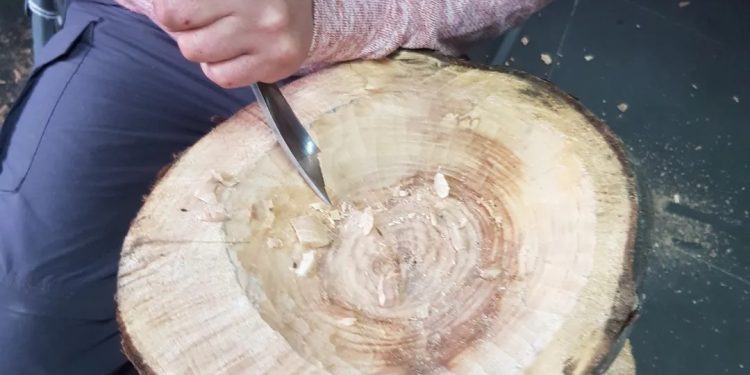 Programa de INFOR apoya a productores de Villa O´Higgins con taller de artesanía en madera nativa
