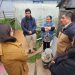 Guaitecas: Ocho familias mejoran las condiciones de sus viviendas gracias al programa de Habitabilidad de FOSIS