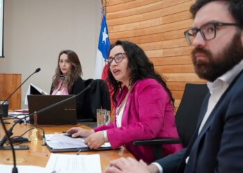Gobernadora Andrea Macías critica abiertamente a consejeros que se opusieron a proyecto de buses eléctricos para Coyhaique