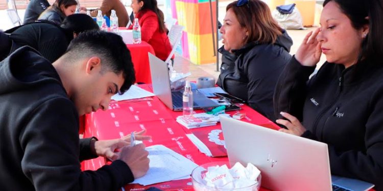 Región de Aysén: Tasa de desocupación fue de 6,5% en el trimestre móvil junio-agosto de 2023