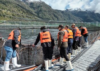 Estudiantes de educación técnica visitaron centro de cultivo AquaChile en Aysén