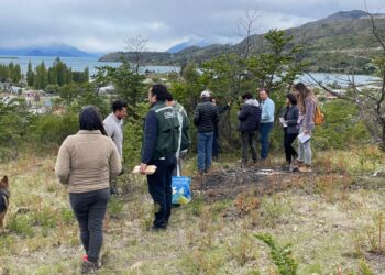 Puerto Guadal: Proyecto de arborización comunitaria avanza en su implementación
