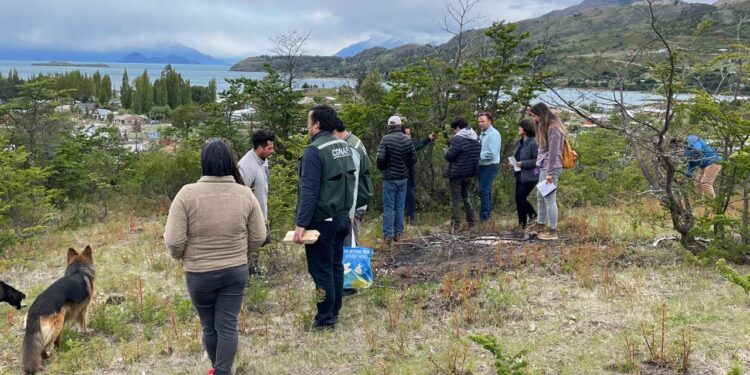 Puerto Guadal: Proyecto de arborización comunitaria avanza en su implementación