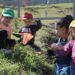 Postulaciones a jardines infantiles de Fundación Integra en la región continúan abiertas