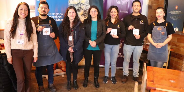 Coyhaique suma dos nuevos espacios de lactancia materna segura