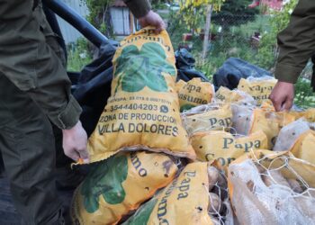 SAG y Carabineros decomisan 300 kilos de papas argentinas ingresadas clandestinamente al país
